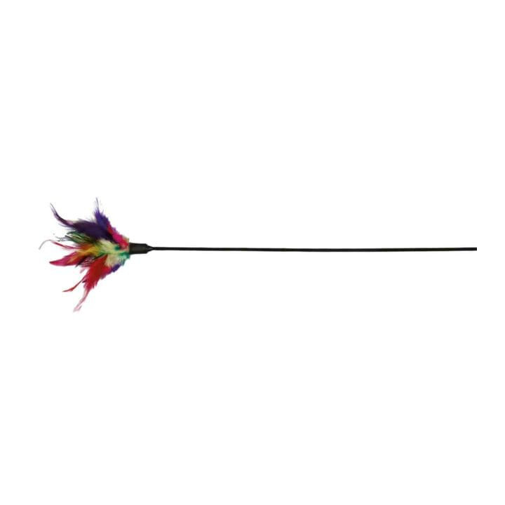 Canne à pêche avec plumes, jeu pour chat